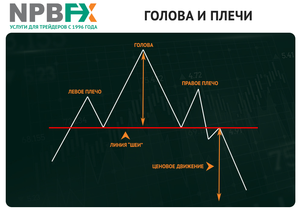 npbfx голова и плечи
