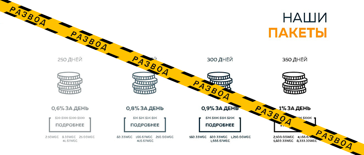 Web Token Profit пакеты-1