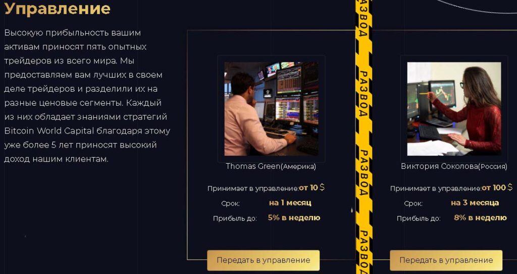Bitcoin World Capital