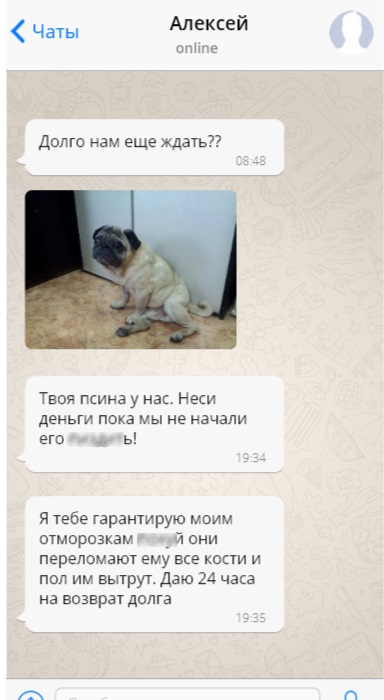 Moneyday.su коллекторы украли собаку