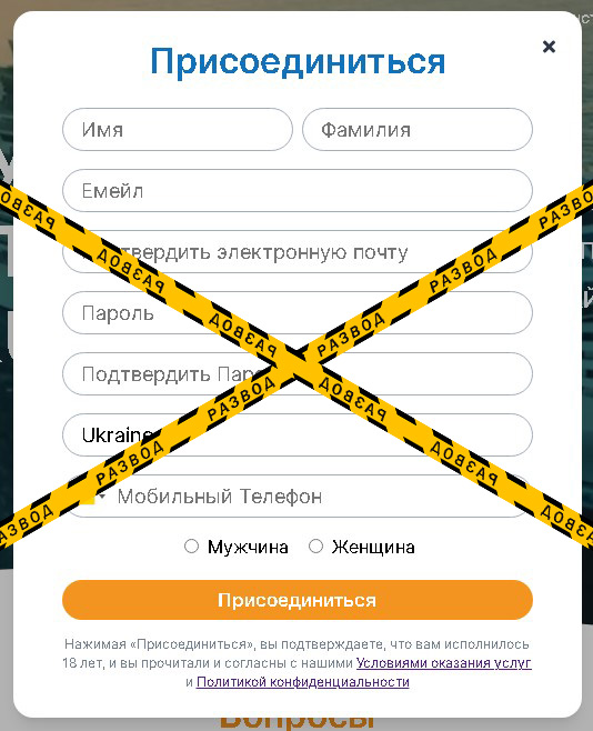 Форма заполнения